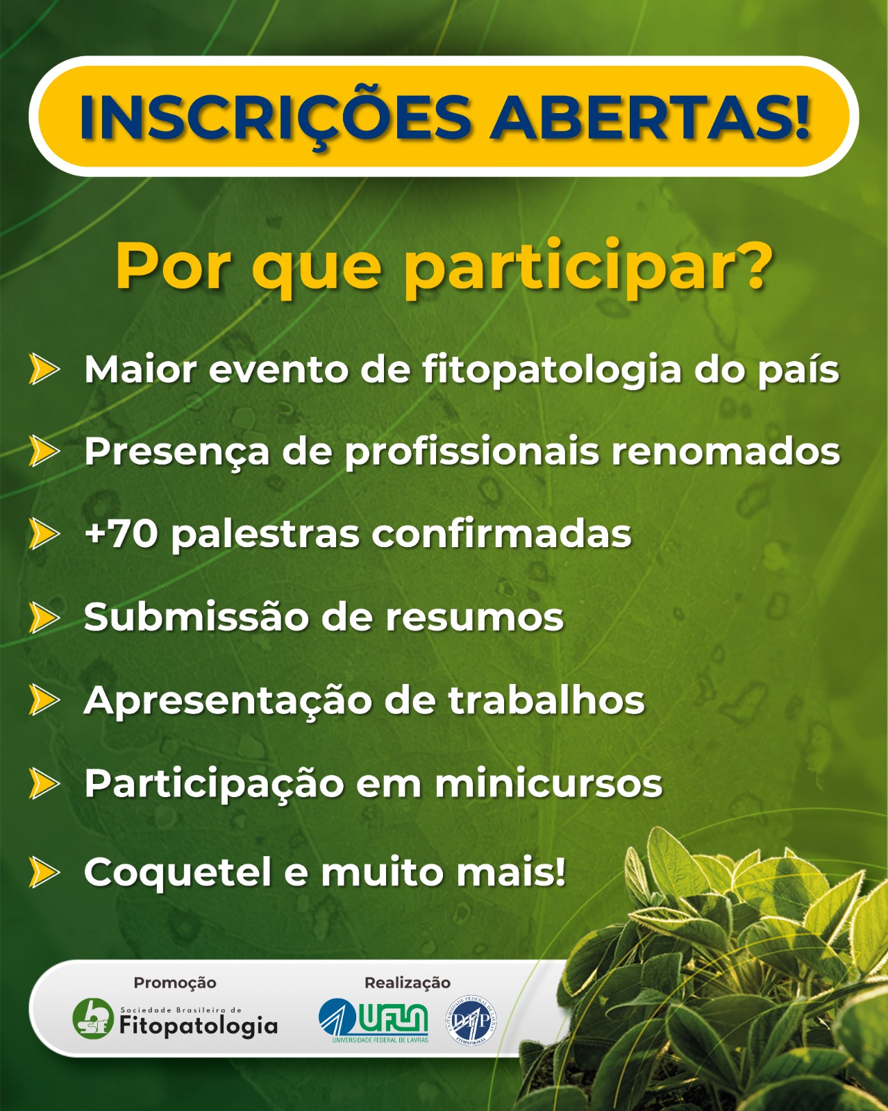 Imagem anexo 2