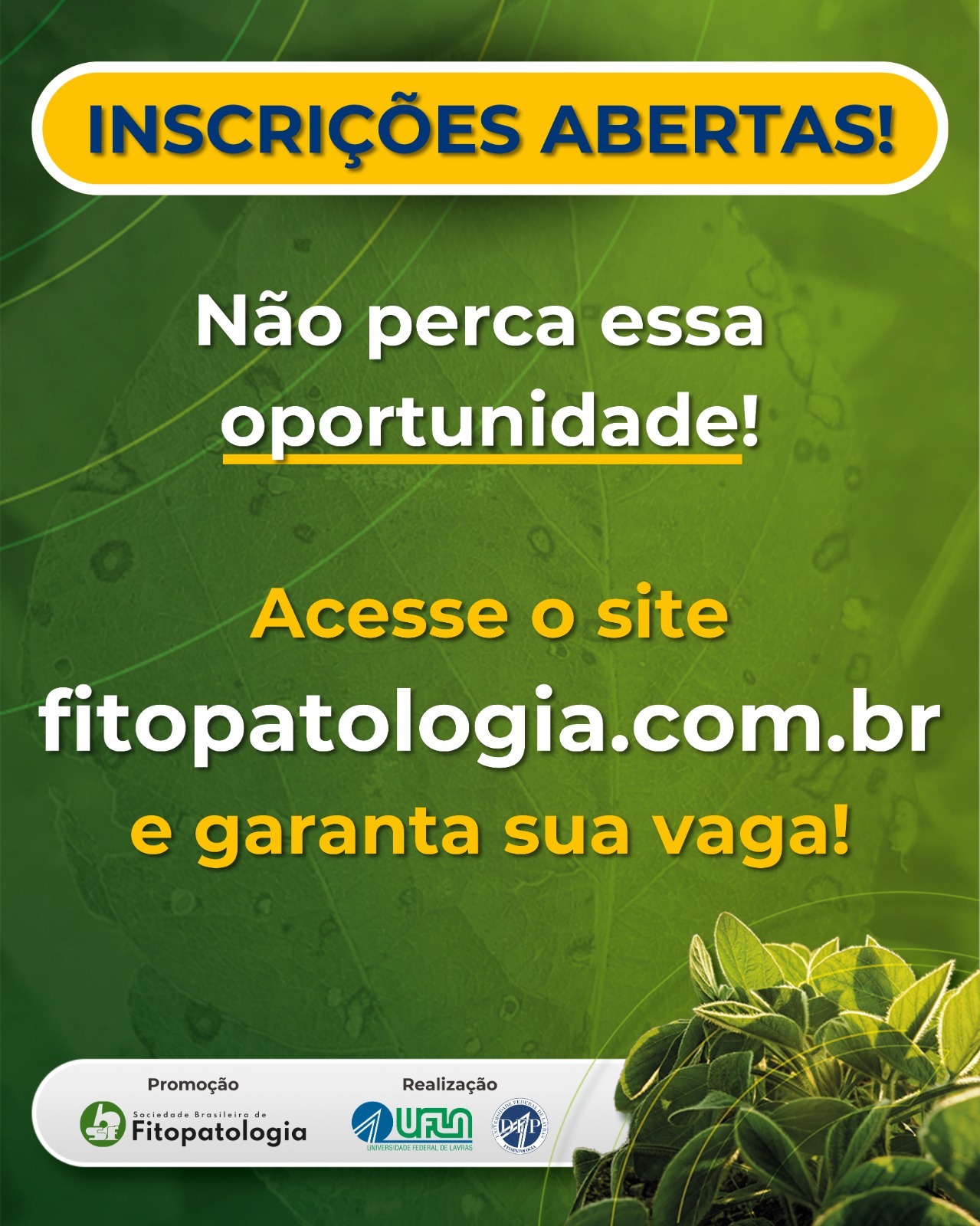 Imagem anexo 3