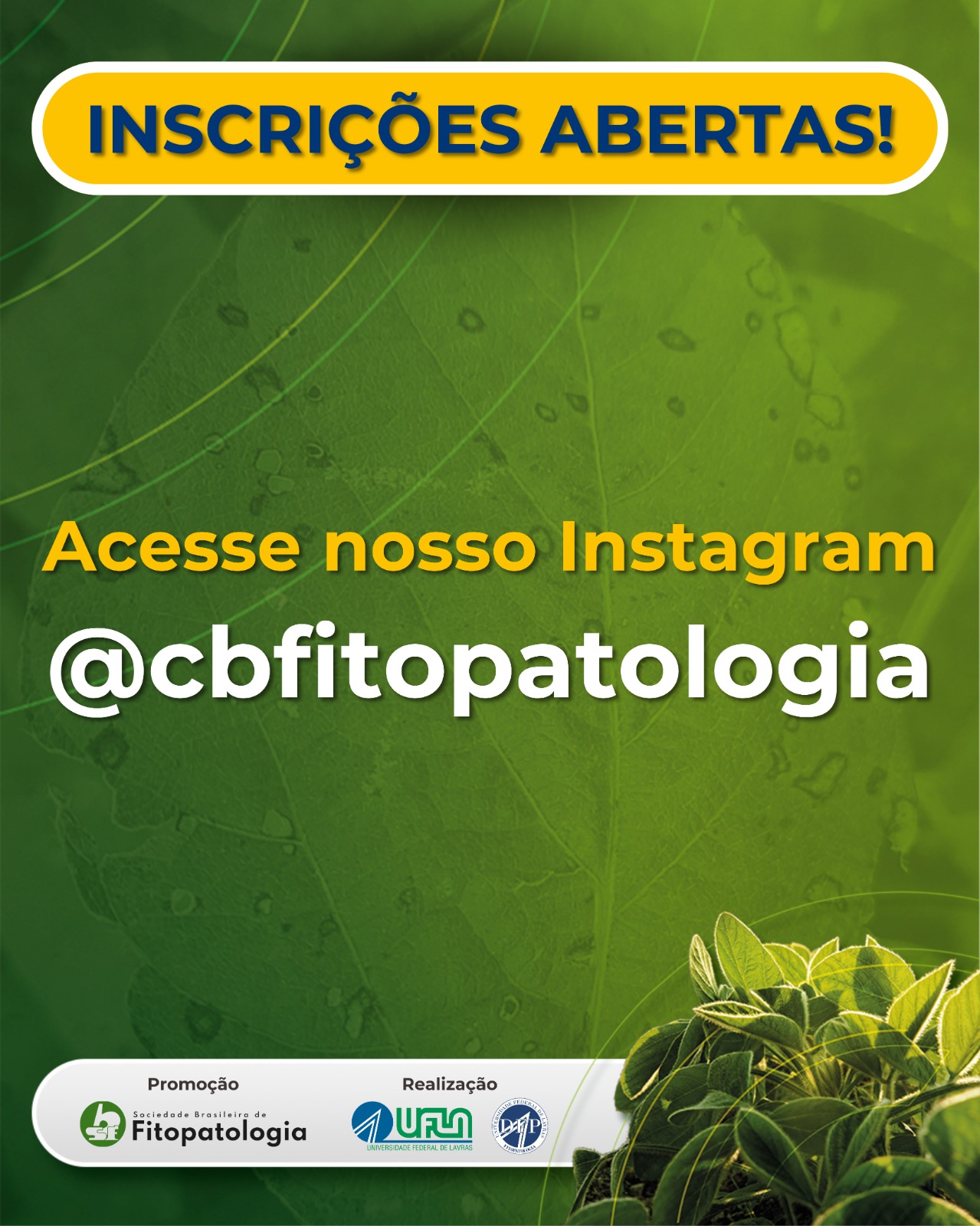 Imagem anexo 4